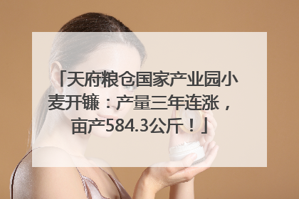天府粮仓国家产业园小麦开镰：产量三年连涨，亩产584.3公斤！