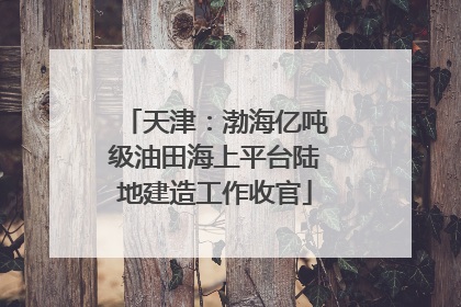 天津：渤海亿吨级油田海上平台陆地建造工作收官