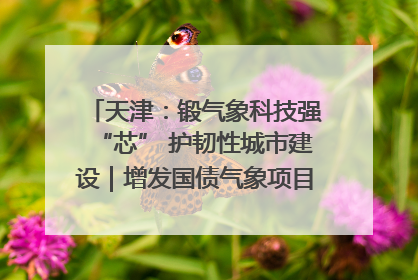 天津：锻气象科技强“芯” 护韧性城市建设｜增发国债气象项目落地见效系列报道