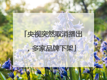 央视突然取消播出，多家品牌下架