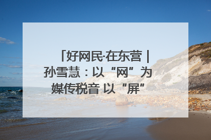 好网民·在东营｜孙雪慧：以“网”为媒传税音 以“屏”为介助发展