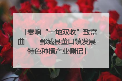 奏响“一地双收”致富曲——鄄城县董口镇发展特色种植产业侧记