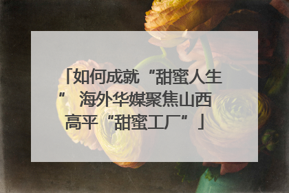 如何成就“甜蜜人生” 海外华媒聚焦山西高平“甜蜜工厂”