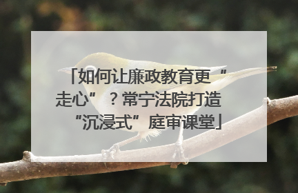 如何让廉政教育更“走心”？常宁法院打造“沉浸式”庭审课堂