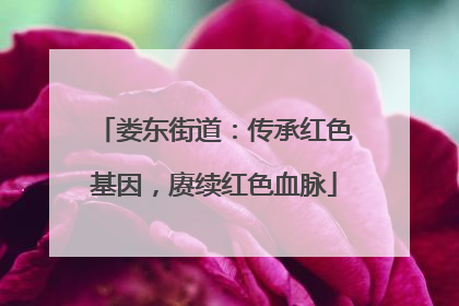 娄东街道：传承红色基因，赓续红色血脉