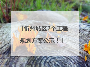忻州城区2个工程规划方案公示！