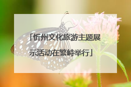 忻州文化旅游主题展示活动在繁峙举行