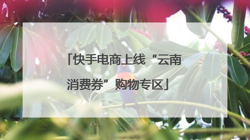 快手电商上线“云南消费券”购物专区