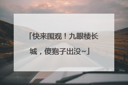 快来围观！九眼楼长城，傻狍子出没~