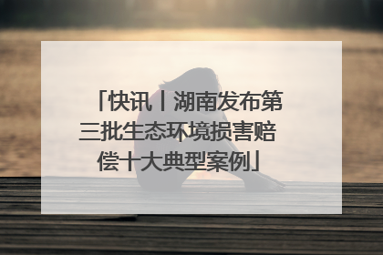 快讯丨湖南发布第三批生态环境损害赔偿十大典型案例