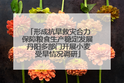 形成抗旱救灾合力 保障粮食生产稳定发展 丹阳多部门开展小麦受旱情况调研