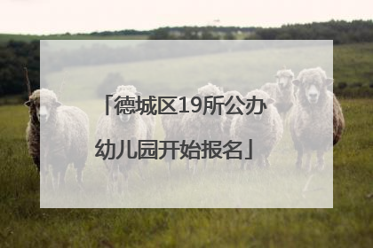 德城区19所公办幼儿园开始报名