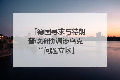 德国寻求与特朗普政府协调涉乌克兰问题立场