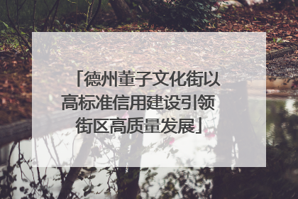 德州董子文化街以高标准信用建设引领街区高质量发展