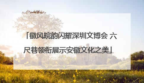 徽风皖韵闪耀深圳文博会 六尺巷领衔展示安徽文化之美