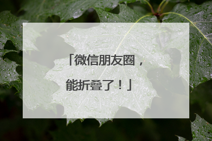 微信朋友圈，能折叠了！
