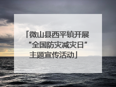 微山县西平镇开展“全国防灾减灾日”主题宣传活动