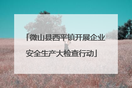 微山县西平镇开展企业安全生产大检查行动