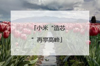 小米“造芯”再攀高峰