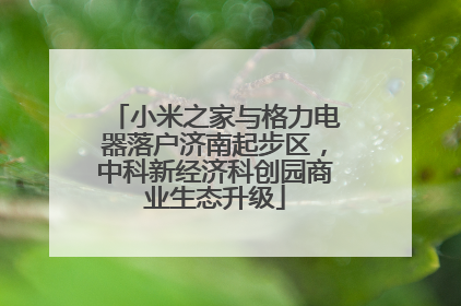 小米之家与格力电器落户济南起步区，中科新经济科创园商业生态升级