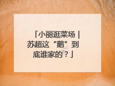 小丽逛菜场｜苏超这“鹅”到底谁家的？