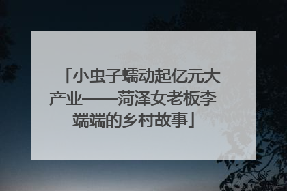小虫子蠕动起亿元大产业——菏泽女老板李端端的乡村故事