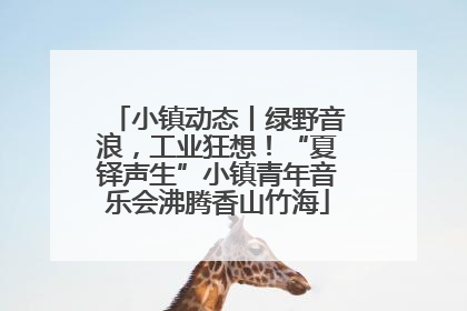 小镇动态丨绿野音浪，工业狂想！“夏铎声生”小镇青年音乐会沸腾香山竹海