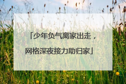 少年负气离家出走，网格深夜接力助归家