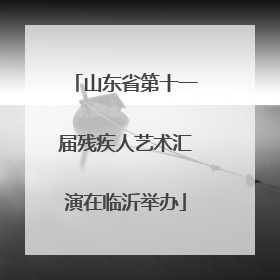 山东省第十一届残疾人艺术汇演在临沂举办
