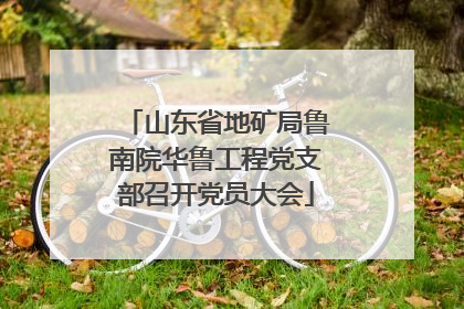 山东省地矿局鲁南院华鲁工程党支部召开党员大会