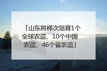 山东将梯次培育1个全球农遗、10个中国农遗、46个省农遗