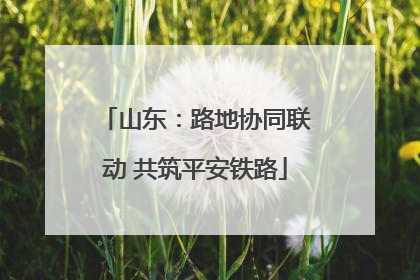 山东：路地协同联动 共筑平安铁路