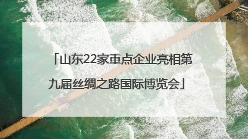 山东22家重点企业亮相第九届丝绸之路国际博览会