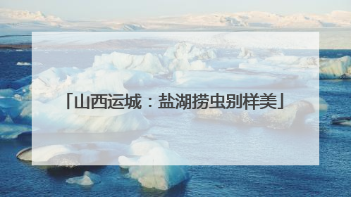山西运城：盐湖捞虫别样美