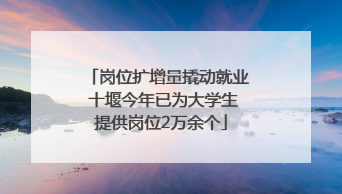 岗位扩增量撬动就业 十堰今年已为大学生提供岗位2万余个