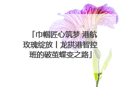 巾帼匠心筑梦 港航玫瑰绽放丨龙拱港智控班的破茧蝶变之路