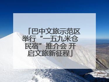 巴中文旅示范区举行“一五九米仓民宿”推介会 开启文旅新征程