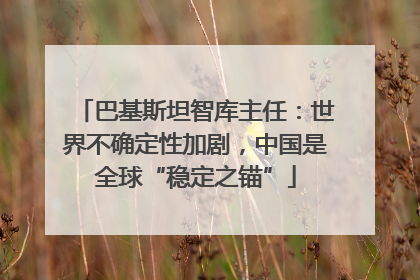 巴基斯坦智库主任：世界不确定性加剧，中国是全球“稳定之锚”