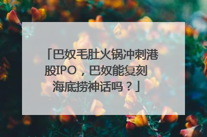 巴奴毛肚火锅冲刺港股IPO，巴奴能复刻海底捞神话吗？