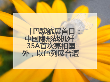 巴黎航展首日：中国隐形战机歼-35A首次亮相国外，以色列展台遭“关黑屋”
