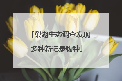 巢湖生态调查发现多种新记录物种