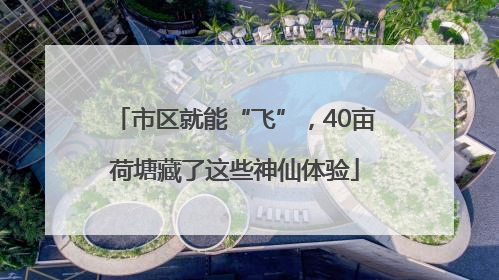 市区就能“飞”，40亩荷塘藏了这些神仙体验
