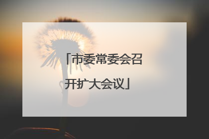 市委常委会召开扩大会议