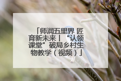 师润五里界 匠育新未来丨“认领课堂”破局乡村生物教学（视频）