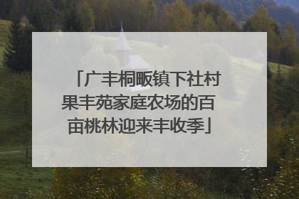 广丰桐畈镇下社村果丰苑家庭农场的百亩桃林迎来丰收季