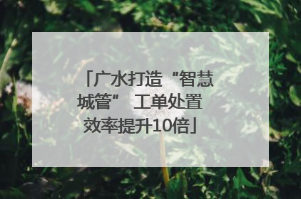 广水打造“智慧城管” 工单处置效率提升10倍