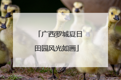 广西罗城夏日田园风光如画