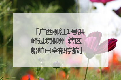 广西柳江1号洪峰过境柳州 辖区船舶已全部停航