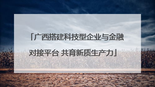 广西搭建科技型企业与金融对接平台 共育新质生产力