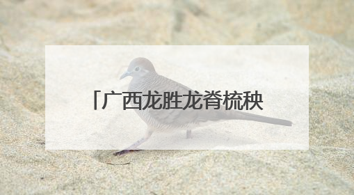 广西龙胜龙脊梳秧节 梯田抬“秧母”上演民俗狂欢
